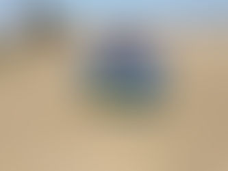 ΑΠΟΤΕΛΕΣΜΑΤΑ ΑΚΑΔΗΜΙΩΝ ΠΟΔΟΣΦΑΙΡΟΥ (09.02.19)-ΤΟΥΡΝΟΥΑ ΜΑΓΝΗΣΙΑΚΟΥ