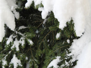 Κλειστοί οι Παιδικοί Σταθμοί & τα ΚΔΑΠ του Δήμου Ωραιοκάστρου (ΔΗ.Κ.Ε.Ω.)