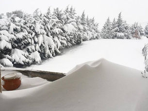 Κλειστά τα σχολεία στον Δήμο Ωραιοκάστρου λόγω παγετού Δευτέρα & Τρίτη, 15 και 16 Φεβρουαρίου 2021 