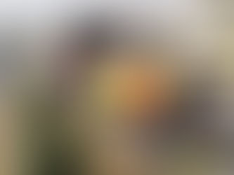 Ο δήμος Ωραιοκάστρου καλεί τους πολίτες να «συμπράξουν» για ένα καθαρό περιβάλλον