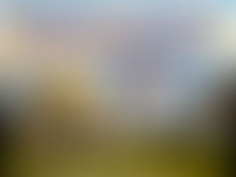 Gold Star Memorial Groundbreaking