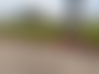 Honoring Service, Sacrifice, and Legacy at Fleet Week Houston