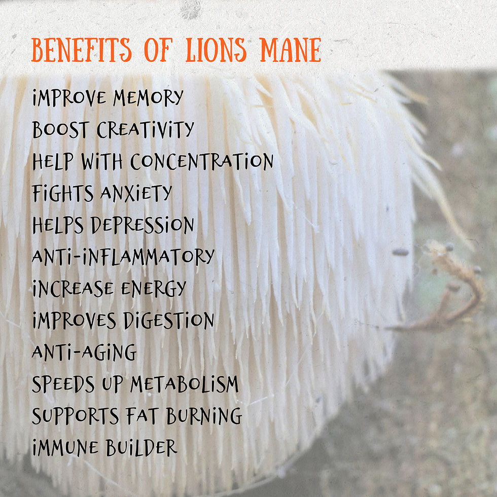 Thumbnail: Lion’s Mane Tincture | Memory & Brain Health | POTENT | Organic