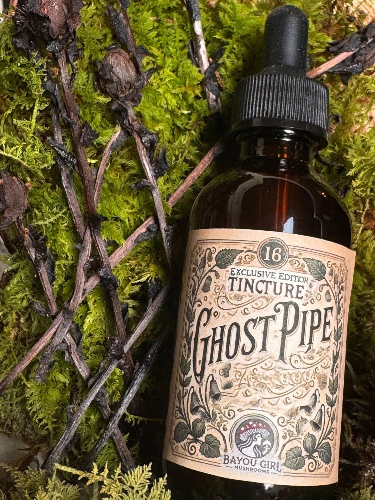 Ghost Pipe Tincture | Trauma | PTSD