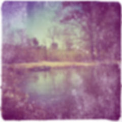 image2-1.jpeg