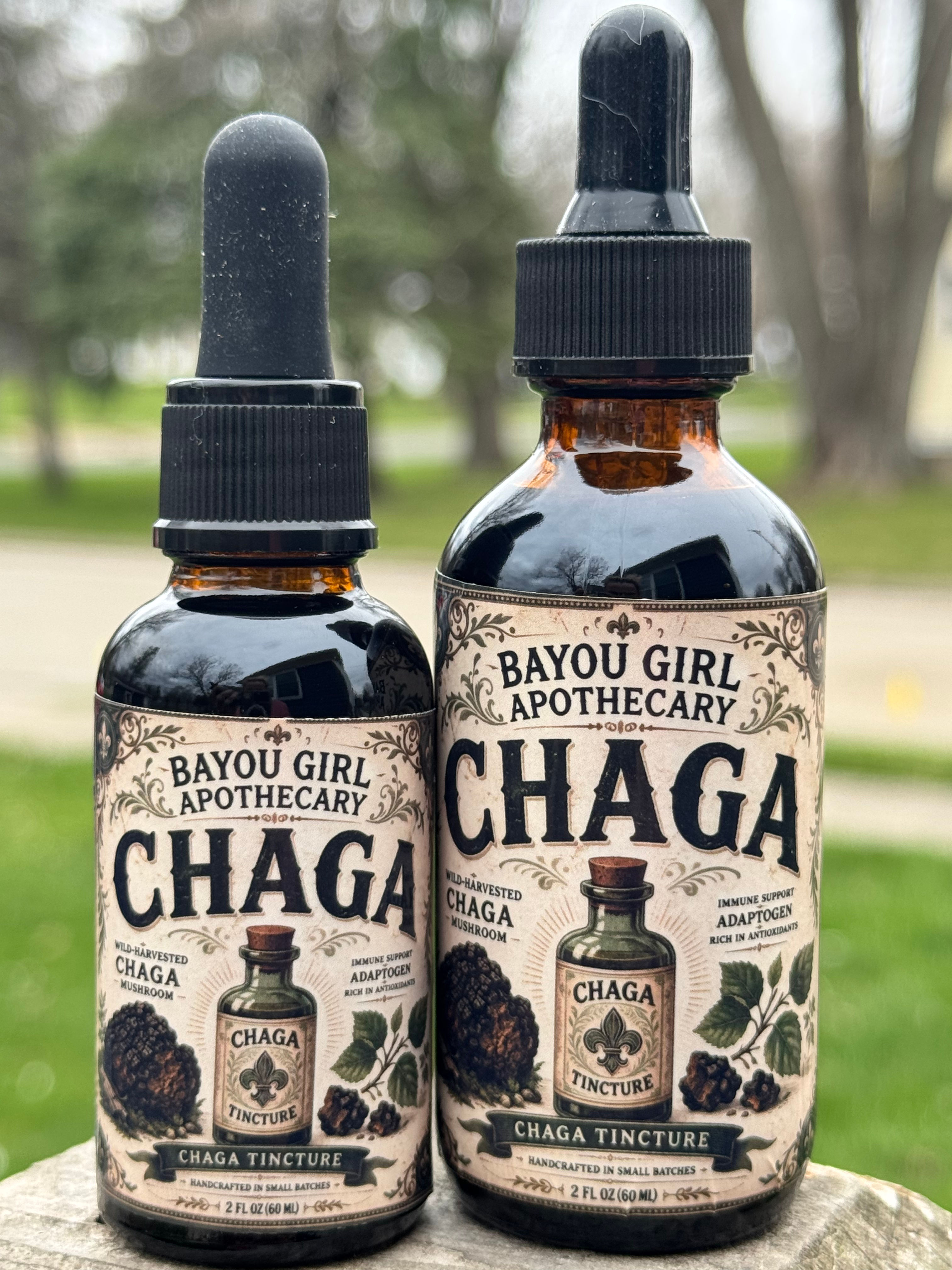 Chaga Mushroom Tincture | Immune Boost, Antioxidant, Energy | Wildcrafted