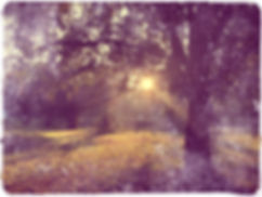 image3.jpeg