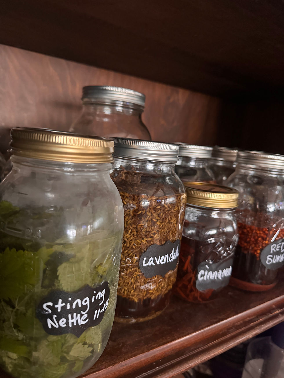 Thumbnail: Ginger Tincture | Digestion, Immune Boost, Inflammation | Anti-Aging | Organic