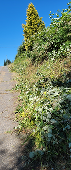 20240706_105503 (2).heic