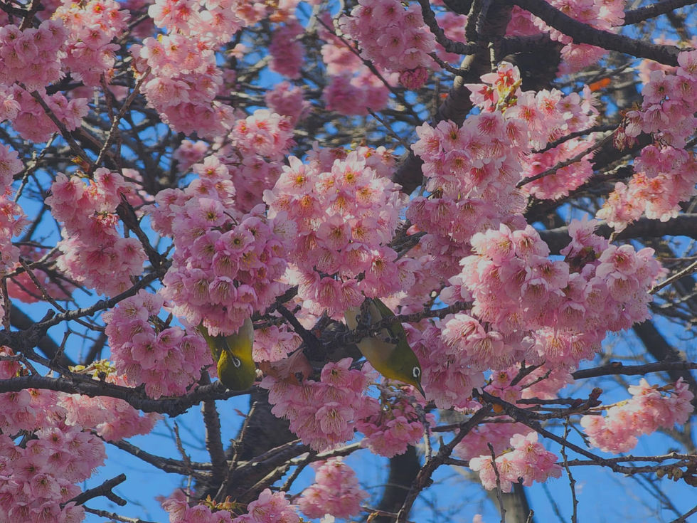 e7ca3560-1dec-4f63-b5e2-8db8d23155dc