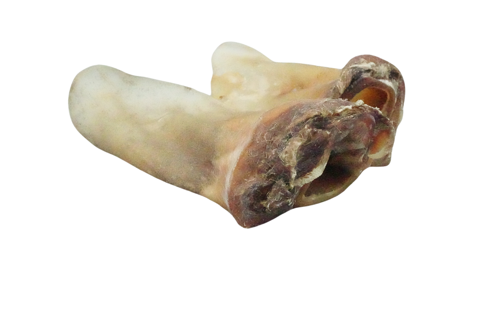 Miniaturbild: Kausnack der Sorte Rinderohren mit Muschel von PetLive