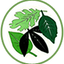 Writer: Radleys Primary School
