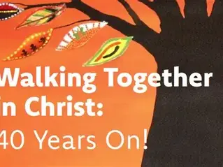 The Dominican 5 July 2026 - Fourteenth Sunday in Ordinary Time - Year A
