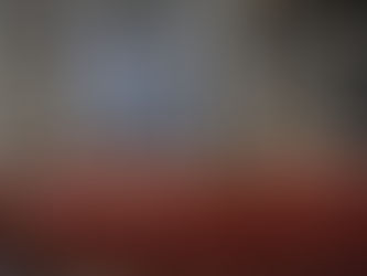 The Dominican - 4 May 2025