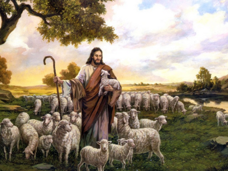 The Dominican 26 April 2026 - Fourth Sunday of Easter - Good Shepherd Sunday - Year A