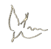 名称未設定のアートワーク 12_edited_edited.png