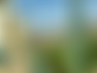 Discovering Affordable Island Living in Ghajnsielem, Gozo