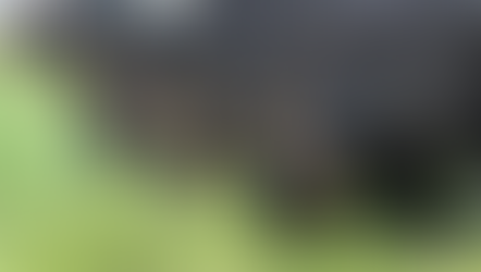 How AI Can Transform the Goat and Cattle Business. Discover the Role of AI in Agriculture: Transforming Goat and Cattle Business in Africa.