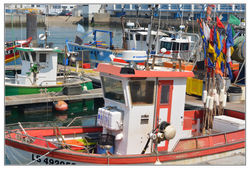 port bateaux278.jpg