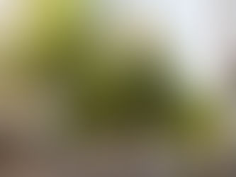 moosaik meistert Meilenstein: Bauausschuss stimmt für Offenlage des Bebauungsplan-Entwurfs