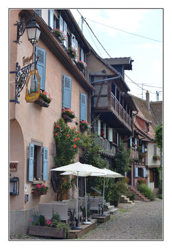alsace 045b.jpg