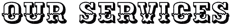 Services Ethical Hacking, Web Development, Software Designing
