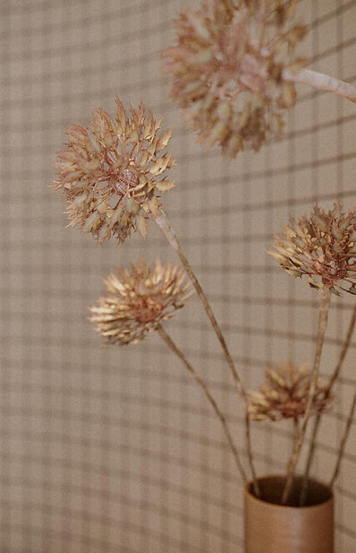 Architectural rendering, design project, cgi