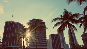 Miami in the evening