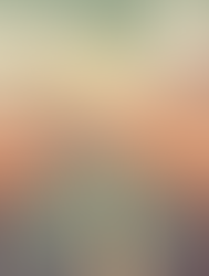 The Beginner's Resolve