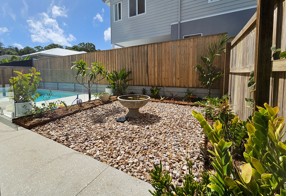 garden makeover sunshine coast_edited_edited