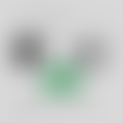 Invest or Payoff the House Early