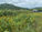 The hills of Tennessee were the backdrop for the 2025 Jovian Concepts Teambuilding Retreat.