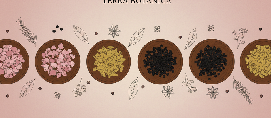 Why Wellness Vitality Blends Are Essential for Your Wellness