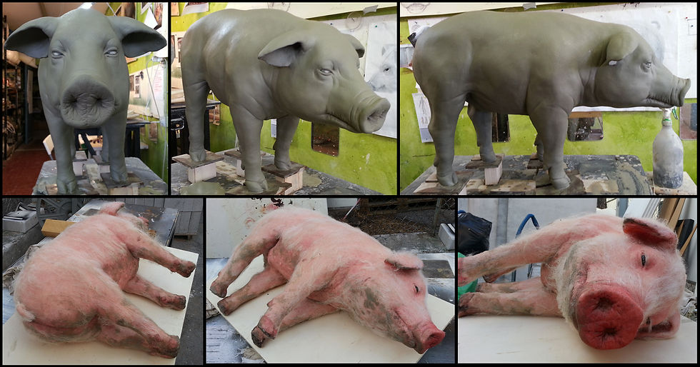 Pig