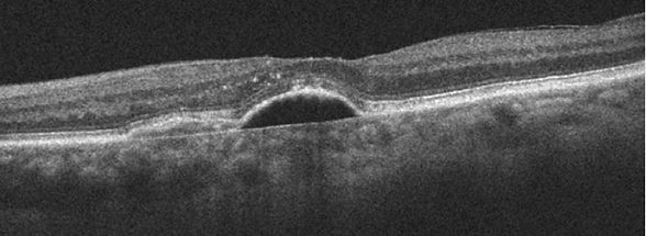 figure 13.jpg