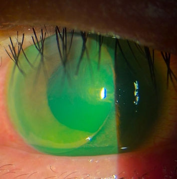 figure 3.jpg