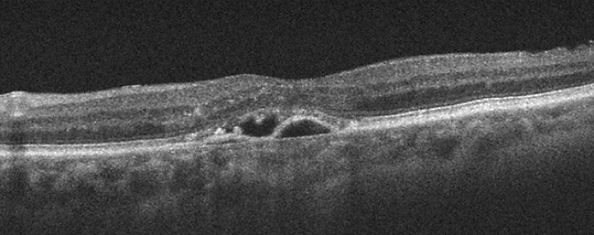figure 12.jpg