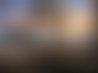 Our lives in a birdcage