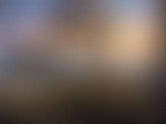 Our lives in a birdcage