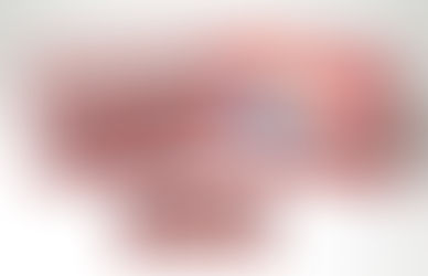 청소년을 위한 홍삼제품 '굿썸 브레인큐' 출시
