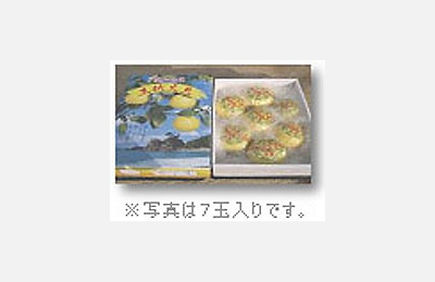 ご贈答用化粧箱