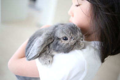女の子に抱かれているうさぎ