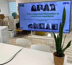 WORKSHOP: From Integrated Information to Conscious Experience