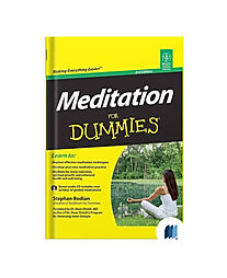 Meditation for Dummies by STEPHAN BODIAN book cover on Bookdio