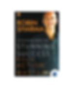 Stunning Success by Robin Sharma book cover on Bookdio.org