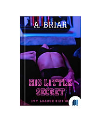 His Little Secret by A. Briar book cover on Bookdio.org