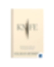 Knife by Salman Rushdie book cover on Bookdio.org