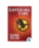 Catching Fire by Suzanne Collins book cover on Bookdio.org