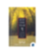 Just One Year by Timothy Radcliffe book cover on Bookdio.org