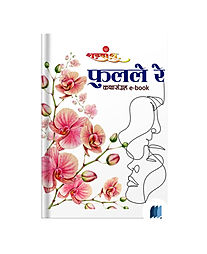 Fulale Re by SHABDAANSH book cover on bookdio.org